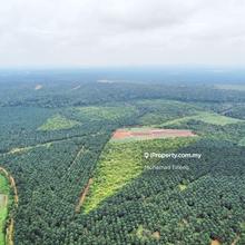 Agriculture land suitable for durian plantation
