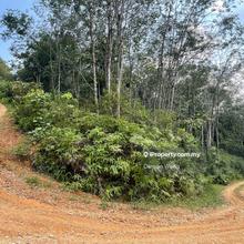 Second lot agriculture land in Bentong
