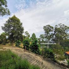 24.2 Acres Hilly Farm with Durian Agarwood Bukit Relau Balik Pulau