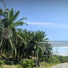 Alor Gajah, Melaka freehold agriculture land for sale!!