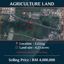 Agriculture Land at Lutong, Miri (4.23 acres)