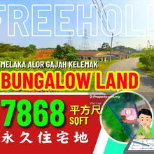 Freehold Bungalow Land at Alor Gajah Kelemak