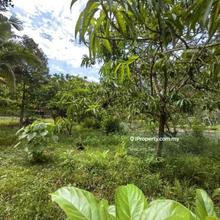 2.8 Acres Freehold Zone Residential Malay Reserved Land Sungai Buloh
