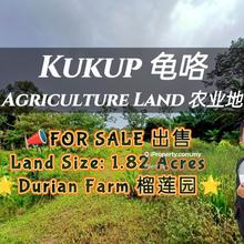 Kukup Agriculture land for Sale