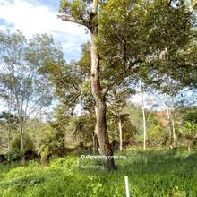 Lenggong Air Kala 7 acres Musang King Land For Sale