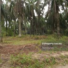 4.365 Acres Agricultural Land Sungai Tangkas Kajang,Jalan Reko Ukm