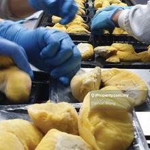 Durian Processing Plant and Business equity share