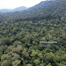 Agricultural Land for Sale In Pahang!