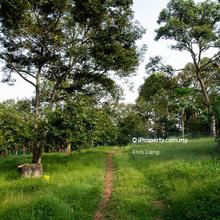 Land for sale/lease Bandar penawar, pengerang, Johor. suit to solar 