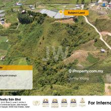 Kundasang Land For Sale