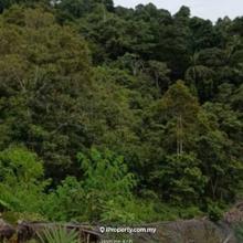 Nice Orchard Land - Gambang