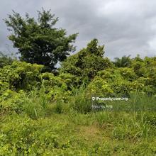 Agriculture Land in Tasek Gelugor for Sale