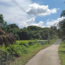 Agricultural Land @ Kuching Sungai Moyan Jalan Sungai Moyan 1 