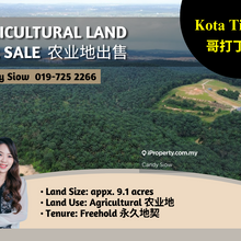 Kota Tinggi 9.1acres Agricultural Land