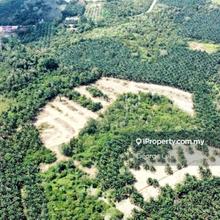 Lepar Hilir, Agriculture Land