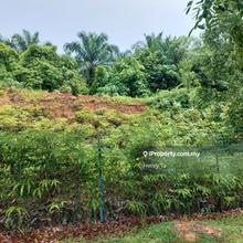 Agriculture land for Sale