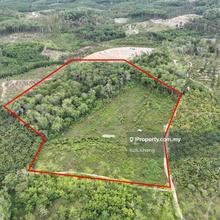 Bukit Sapi Lenggong 10 Acres Freehold Agriculture Land For Sale