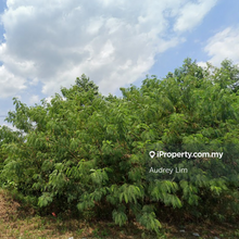 Agriculture Land Under Industrial Zoning For Sales