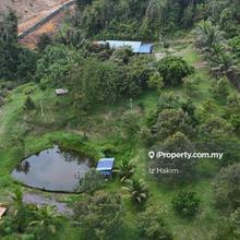 Freehold Tanah Dusun Durian Orchard Batang Kali