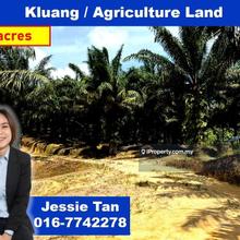 Kluang agriculture land oil palm for sale