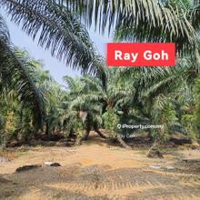 Agriculture Land for Sale (Oil Palm Estate) at Pekan Meru Klang