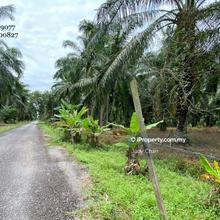 Sijangkang Flat Agri Land 2.5acs Freehold!! Klang Banting 
