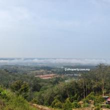 Durian land in Titi area