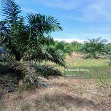 Selama Perak Kampung Sungai Jambu Oil Palm Land with 2.5 Acres
