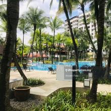 Ara Hill! Below Market Price! Good Buy! Bank Lelong! Cheap!