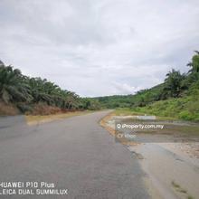 Johor Mersing 288 acres Palm oil Land for sale ( Freehold ) 