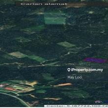 3 Lots of Palm oil land about 1 km from main road at Selama, Perak