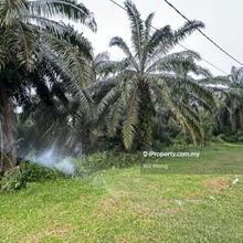 Road-Side land for sale