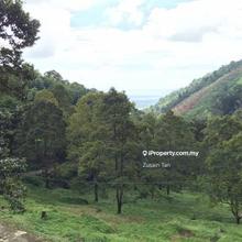 18 Acres 1st Grade Freehold Land Balik Pulau Nice View Durian Fruits 