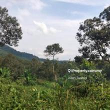 Spacious 40.46 Acres Agricultural Land Paroi, Ampangan, Seremban