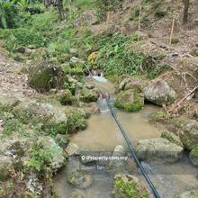 2.81 Acres Agriculture Land Balik Pulau With Stream and Nice View