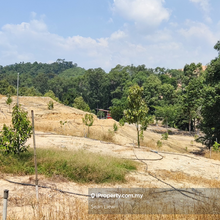 Gua Musang Kelantan Agriculture Land For Rent
