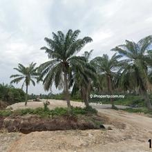 Super Good Condition Sijangkang Agriculture Land