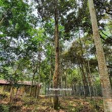 3 Acres Karak  Agricultural Land For Sale