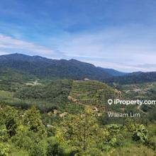 Peak with panoramic view, Freehold, Long Term Investment