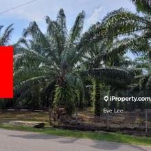 Agriculture Land for Sale Semeling Kedah