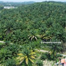 Development Land Suitable for Project at Salak Tinggi, Sepang