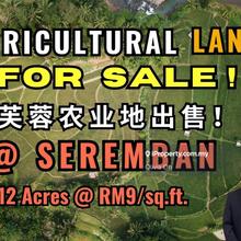 Seremban, Taman Angsamas -12 Acres Agricultural Land For Sale