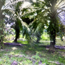 Land For Sale, Alma, Penang