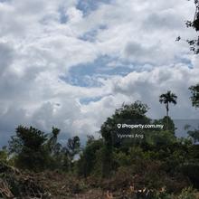 Agriculture Land in Tasek Gelugor for Sale