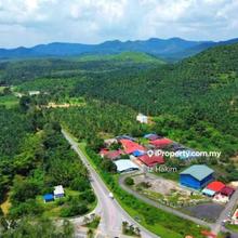 Palm Oil For Sale Seremban