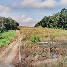 Agriculture land for Sale