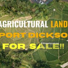 Port Dickson, Telok Kemang 50 Acres Agriculture Land For Sale 