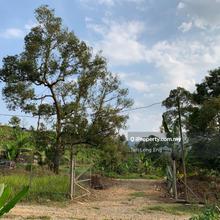 4.4 acres durian farm 