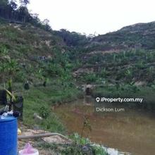350 Acres (Psk Land) Durian Orchard For Sale