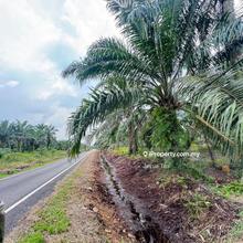 Parit sikom pontian agriculture land for sale